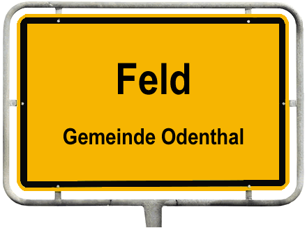 Feld