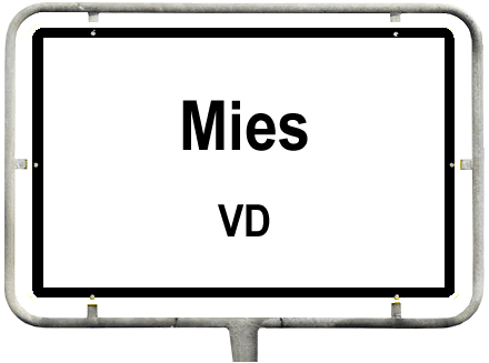 Mies