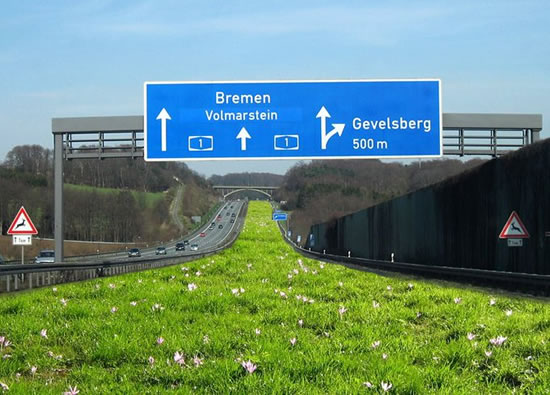 Autobahn Rasen